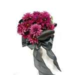 プランツコレクション